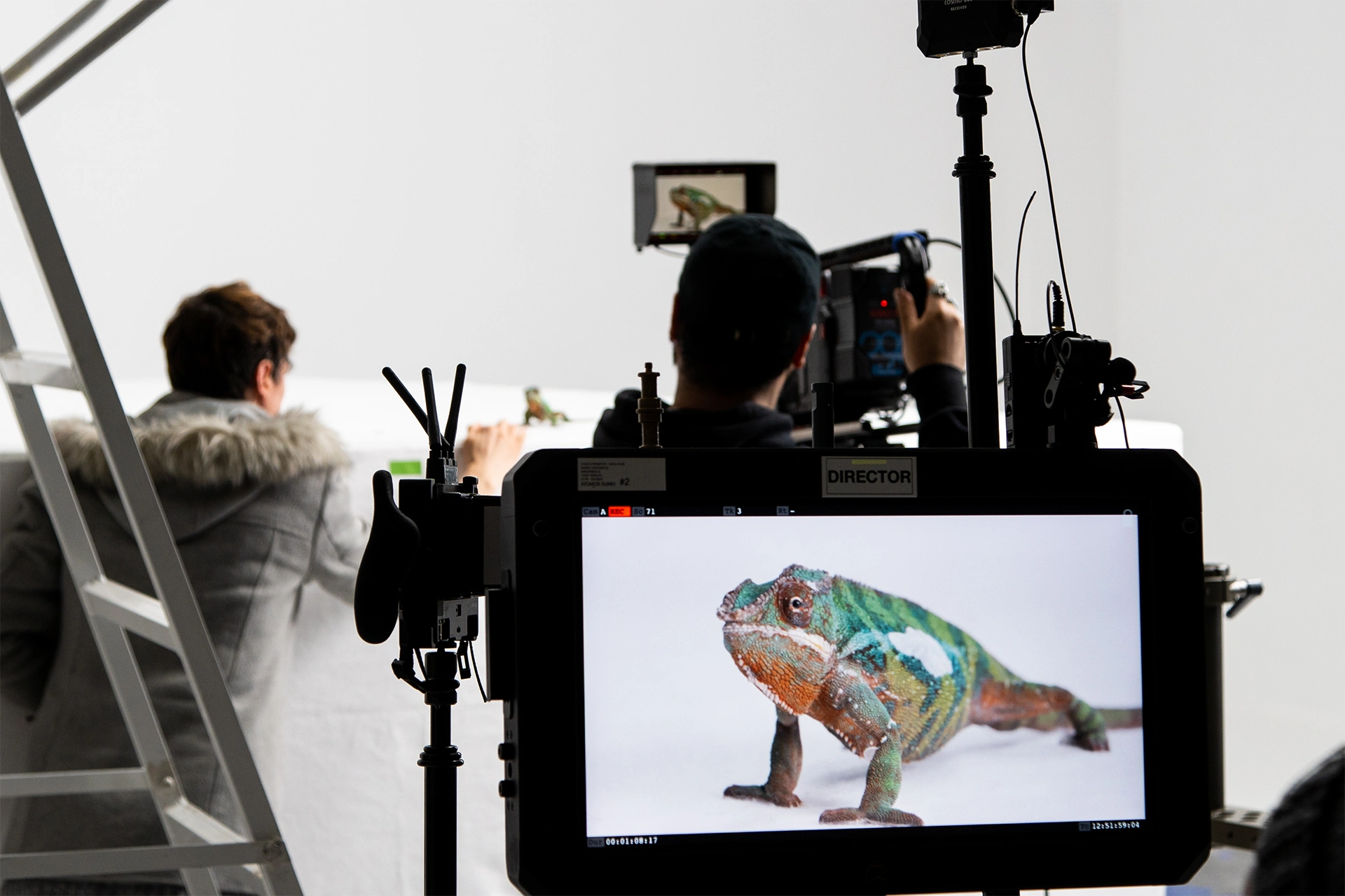 A picture shows a chameleon behind the camera on a Friedrichstadtpalast shoot for the Grand Show 
